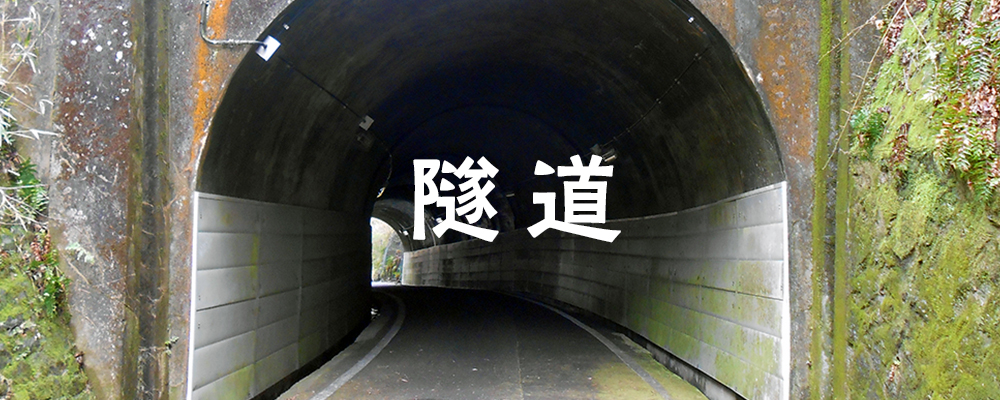 随道